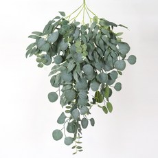 仿真柳葉尤加利壁掛花, 柳葉尤加利壁掛-不加燈