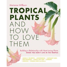 (영문도서) Tropical Plants and How to Love Them: Building a Relationship with Heat-Loving Plants When Yo... Paperback, Cool Springs Press, English, 9780760380598