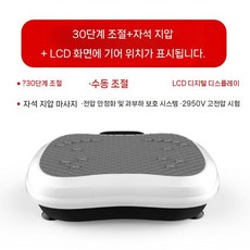 가정용 진동운동기 실내 전신운동 덜덜이 머신 자석마사지기 헬스기구, 택배, 30단수동조절+마그넷마사지(흰색)