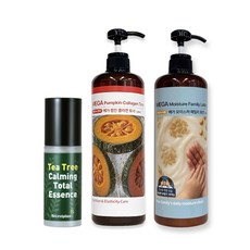 시크릿플랜트 메가 펌킨 콜라겐 토너+티트리 카밍 토탈 에센스+메가 모이스처 패밀리 로션 (온가족 보습진정 세트), 1세트