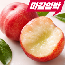 [재구매1위] 선착순특가 꿀당도 경산 신비복숭아 산지직송, 1개, 1kg 중소과 (15과내외)