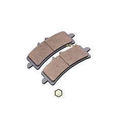 暴力虎 PBF C版 Brembo M50 484 1098 GP4RX 輻射 來令片 運動複合材, 1個