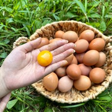 난각번호1번 계란 유정란 달걀 20개