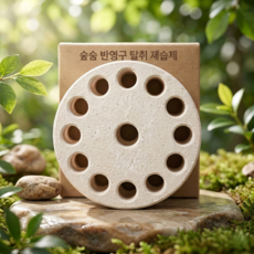 국산 반영구 천연재료 숲숨 강력한 냉장고 냄새 제거 탈취제, 1개, 100g