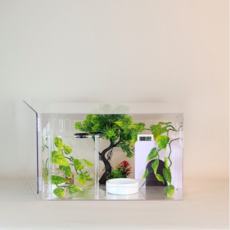 빌드몬스터 도마뱀 파충류 게코사육장 아크릴사육장 세트 40x30x25(cm), 1개, 투명 B타입세트