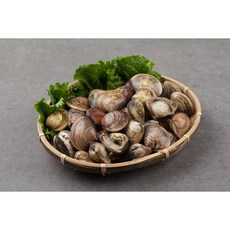 백상합3kg 60마리 내외 생합 백합 자체세척 및 1차 해감완료, 1개