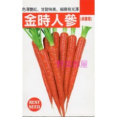 金時人參種子 皮薄 甜度高, 1包