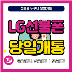 엔텔레콤 선불폰 유심 개통(KT.LG) 공기계 한국 선불유심 USIM, 1개, LG 선불유심, 9999일