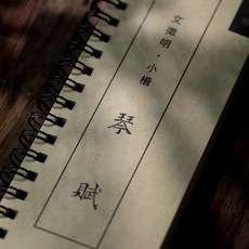 臺灣出貨 臨摹字文征明小楷字帖琴賦，毛筆近距離卡，初學者入門描紅原帖書法, 琴賦 小楷（全文）