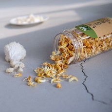 [들녘 표고농장] 산지직송 지하암반수로 키운 깨끗한 국내산 노루궁뎅이버섯차 50g 1통 순농군 농산물우수관리인증 GAP, 용기 (50g), 1개