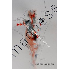 (영문도서) Madness: A Philosophical Exploration Paperback, Oxford University Press, USA, English, 9780197781319