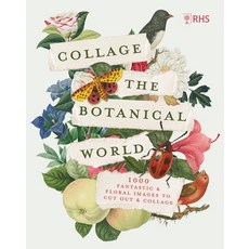 (영문도서) Rhs Collage the Botanical World: 1 000 Fantastic & Floral Images to Cut Out & Collage Paperback, Frances Lincoln, English, 9780711293311