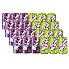 농심 웰치스 포도 355ml 캔 12입+웰치스 청포도 355ml 캔 12입, 1개