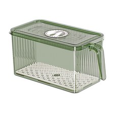 플러스원 냉장고 수납 정리 용기 냉장고 보관함 투명 정리함 그린 투명, 1개입, 2개