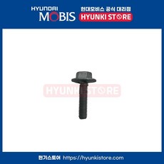 볼트 플랜지 (1141706256K)