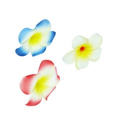 굿픽몰 플루메리아 조화 인테리어조화장식품, 화이트