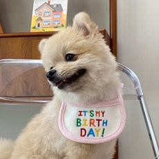 데댕 귀염뽀짝 생일케이프, 2개