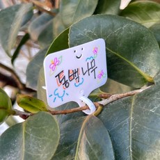 타이형 화분픽 식물이름표 화이트 10개입