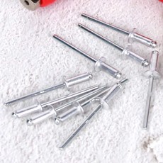 살림냥냥 알루미늄 리벳못 3.2x8 10P 작업공구