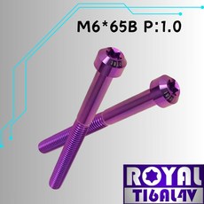 ROYAL 鈦合金螺絲 M6*65B P:1.0 錐形螺絲 皇家紫, 1個