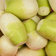 제주도 세척 월동무 5kg, 단품, 단품