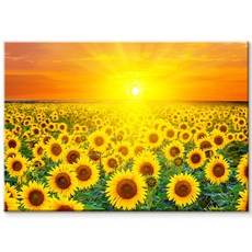 더 아트 컴퍼니 복을 부르는 재물운 금전운 풍수 황금해바라기 그림 캔버스액자 43종 (17-43번), 17. 정열 해바라기밭