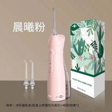 구강 세정기 워터 USB충전 치아 방수 플로저 관리, B. 던 핑크  품질 문제가 있는 경우를 제외하고는 반