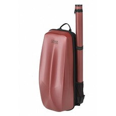 GEWA樂器盒，堅固輕巧時尚舒適，多功能收納保護樂器, 1個