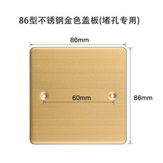 86型/120型不鏽鋼蓋板 帶出線孔 金屬遮醜蓋板 插座蓋, 1個, 86型不鏽鋼金色蓋板送螺絲