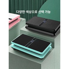쉐이크보드 진동 덜덜이 전신 홈트족 가정용 바디슬리머 다이어트 뱃살뺴기 저소음, 기본 색상, 민트그린