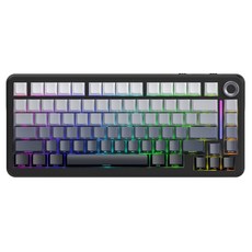 FREEWOLF F75 맞춤형 RGB 유무선 3모드 기계식 키보드, 씨 리프 블랙, 가오터 실버 문축, 제조사축