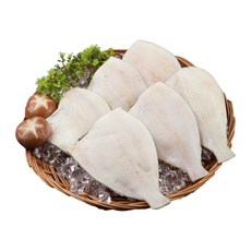 국내산 손질되어 먹기 편한 반건조 참가자미 가자미, 6개, 100g(총중량600g)