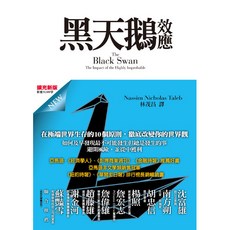 黑天鵝效應（擴充新版）_大塊