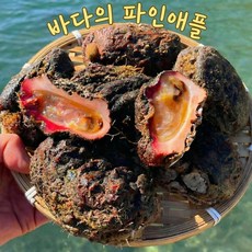 [최상급] 통영 제철 자연산 돌멍게, 1박스, 1kg