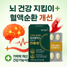 기억력혈행은행잎징코플러스30정, 1개, 30회분