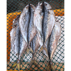 반건조고등어 (건조고등어) 국산고등어 간고등어 자반고등어 고등어구이 고등어요리, 5개, 반건조고등어 350g내외