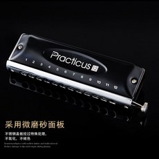 敦煌 無膜可水洗半音階口琴 12孔C調 初學入門專業級練習, 1個, 黑色