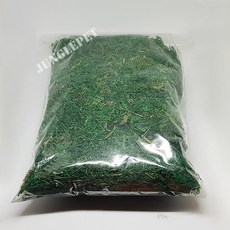 청이끼 파충류사육장꾸미기, 1개