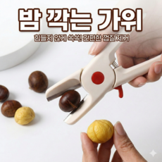 정품 Defenx 안전한 밤가위 밤 손질 도구, 1개, 화이트