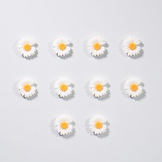 봉봉샵 미니피마데이지 냉장고 현관문 인테리어 자석 마그넷, 미니피마데이지 10P