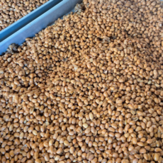 [전통숙성] 깊은 풍미 국내산 전통장류명인박옥진 명가청국장, 18개, 3kg