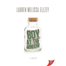 (영문도서)Boy at the Window Paperback, Bold Strokes Books, English, 9781636790923