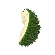 RU 牆角貓蹭癢玩具 榴槤造型玩具 多功能玩具 蹭癢梳 蹭癢器 寵物用具 蹭癢玩具 寵物玩具 清潔玩具毛掌櫃寵物店, RU 綠榴槤, 1個
