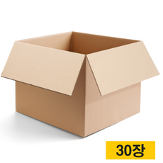 박스왕 종이 이사 박스, 30개