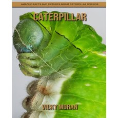 Caterpillar: Amazing Facts and Pictures about Caterpillar for Kids Paperback, Independently Published