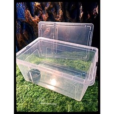 蛋叔叔NOMO爬蟲飼養盒/整理盒/飼養箱/寵物箱/守宮盒/角蛙盒/烏龜盒/守宮缸/工作室專用/豹紋守宮/人渣盒, 1個, 透明白-L31x22x15cm, 透明白-L31x22x15cm
