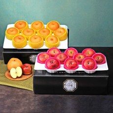 달찐과일 과일선물세트, 1박스, 사과배 실속세트 8kg (배5kg+사과3kg)
