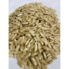 長仙 糙米 一台斤 (600g) 台灣產, 1個