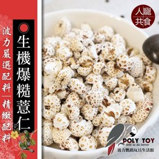 生機爆糙薏仁 南投生機紅薏仁製成 友善耕作 無調味 無油 健康零食, 1個, 40克