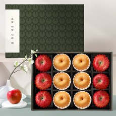 기타 T_[오늘아침사과]사과배 혼합 선물세트 2호 (사과 6과/배 6과), 1박스